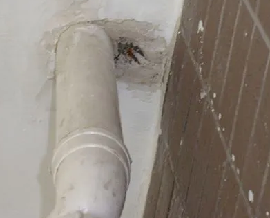 会同漏水检测哪家好